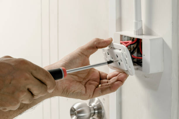 Best Electrical Panel Upgrades  in Felton, DE